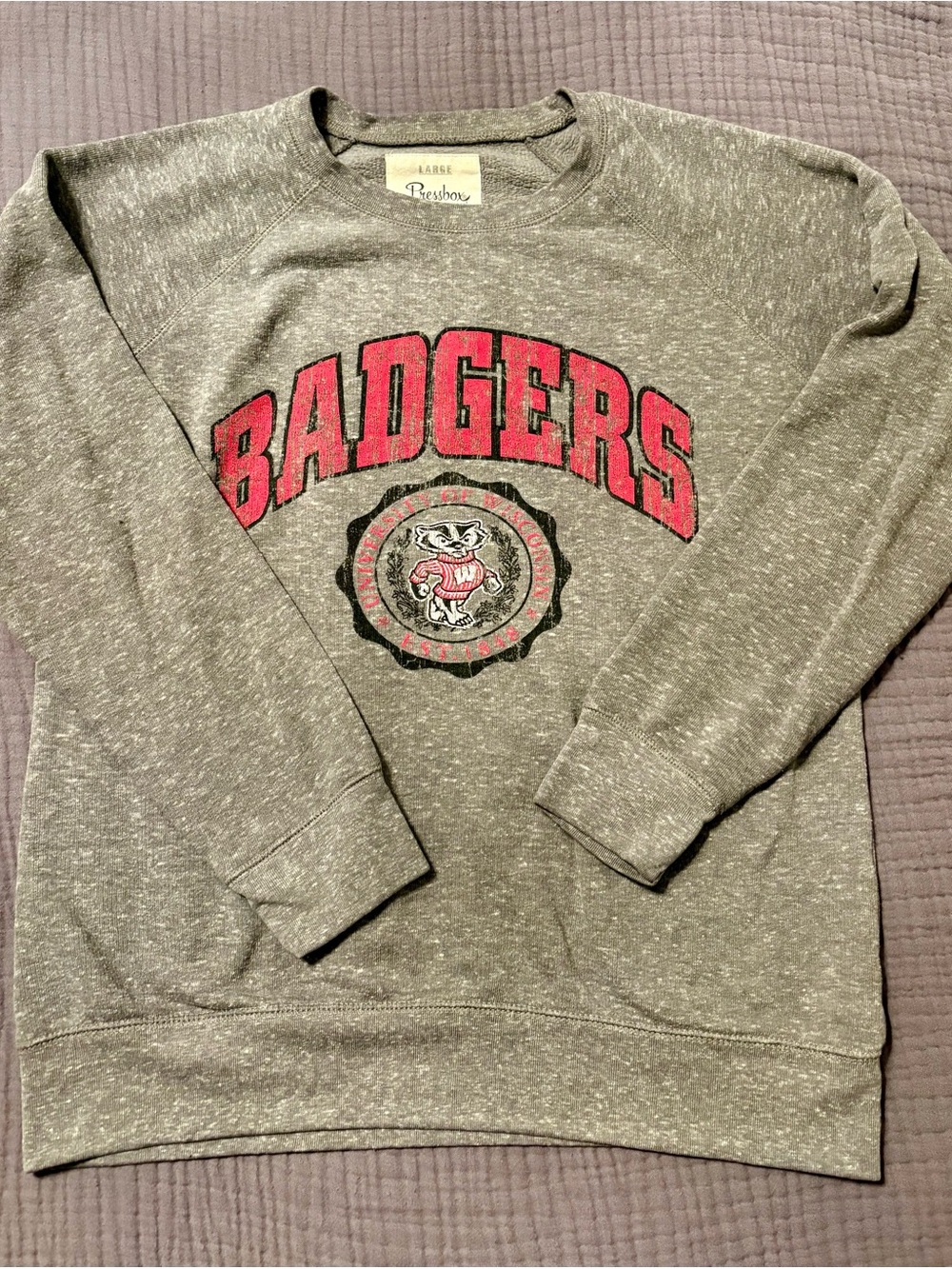 Pressbox Gray Wisconsin Badgers Crewneck Sweatshirt